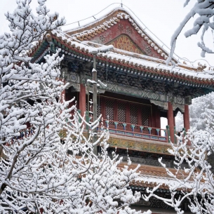 大雪过后的<font color=