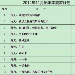 100天完美计划：我就是靠它干掉拖延，改善生活，规划未来的