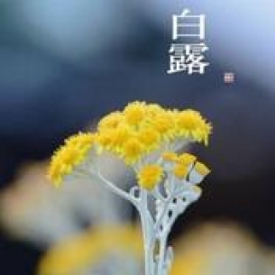 白露养生 从争“蜂”吃“醋”开始