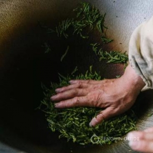 像泡咖啡馆那样泡茶馆