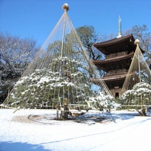 北海道成无人雪国 2021年你还在继续想念日本吗？