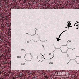 葡萄酒单宁究竟是何方神圣？