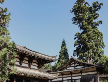 江南这座古城把建筑之美 森系自然玩得透透的…