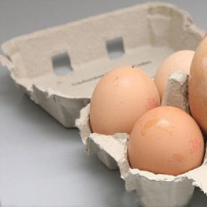 英国母鸡产下163克巨蛋